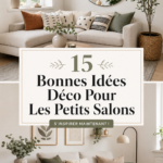 Un petit salon décoré avec goût, reflétant des idées déco pratiques et chaleureuses.