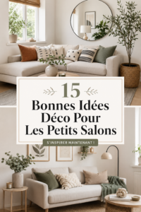 Un petit salon décoré avec goût, reflétant des idées déco pratiques et chaleureuses.