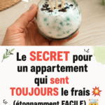 Un appartement lumineux avec des plantes et une ambiance fraîche.