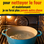 Un four propre et brillant après nettoyage avec des astuces naturelles.