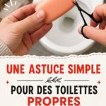 Toilettes propres avec des produits naturels pour une odeur fraîche