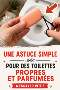 Toilettes propres avec des produits naturels pour une odeur fraîche