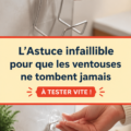 Image d'une ventouse bien fixée sur une surface lisse, illustrant l'astuce pratique présentée.