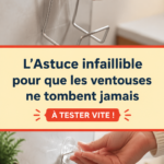 Image d'une ventouse bien fixée sur une surface lisse, illustrant l'astuce pratique présentée.