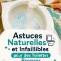 Femme nettoyant des toilettes avec des produits naturels, aspirant à une propreté éclatante