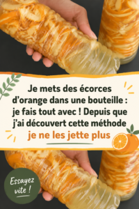 Des écorces d'orange séchées prêtes à être utilisées dans différents projetsDIY