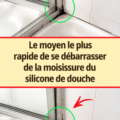 Silicone de douche présentant de la moisissure à enlever.