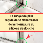 Silicone de douche présentant de la moisissure à enlever.