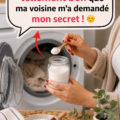 Linge fraîchement lavé et parfumé suspendu à l'extérieur, sous le soleil.