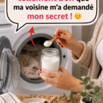 Linge fraîchement lavé et parfumé suspendu à l'extérieur, sous le soleil.
