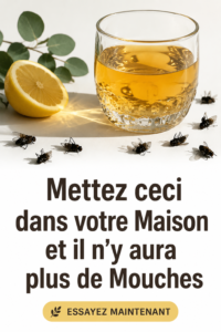 Intérieur d'une maison sans mouches, décoré de plantes naturelles.
