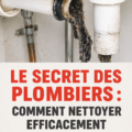 Astuce de plombiers pour nettoyer efficacement les canalisations, montrant un environnement sain et propre.