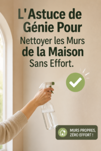 Murs propres et éclatants dans un intérieur accueillant