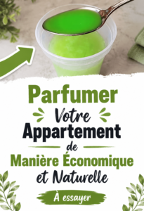 Désodorisant naturel fait maison avec des ingrédients naturels