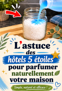 Maison chaleureuse avec des senteurs naturelles évoquant un hôtel 5 étoiles