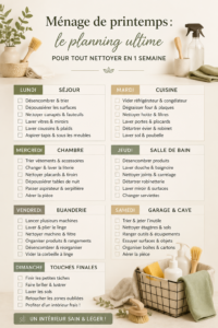 Un intérieur propre et bien organisé après un ménage de printemps réussi.