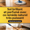 Sol brillant et propre grâce à des remèdes naturels