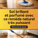 Sol brillant et propre grâce à des remèdes naturels
