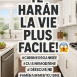 Cuisine moderne et ordonnée avec un aménagement pratique