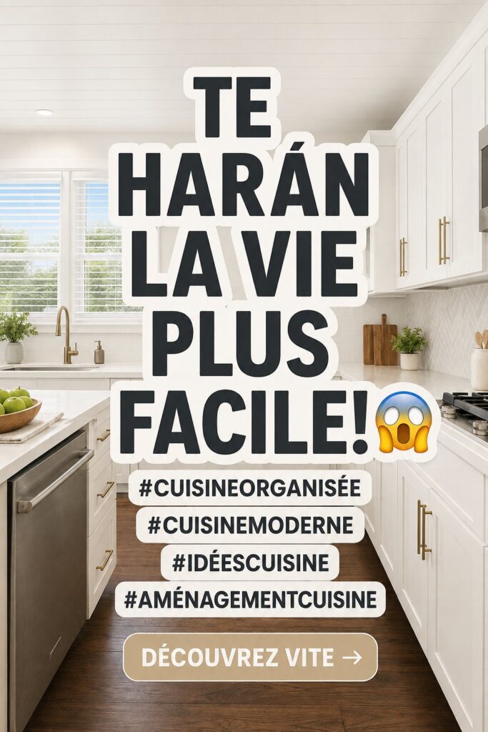Cuisine moderne et ordonnée avec un aménagement pratique