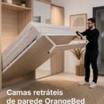 Un joli salon avec un lit escamotable élégant intégré dans la décoration.