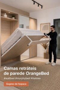 Un joli salon avec un lit escamotable élégant intégré dans la décoration.