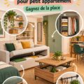 Salon moderne avec des solutions de rangement optimisées